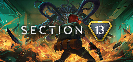 section-13